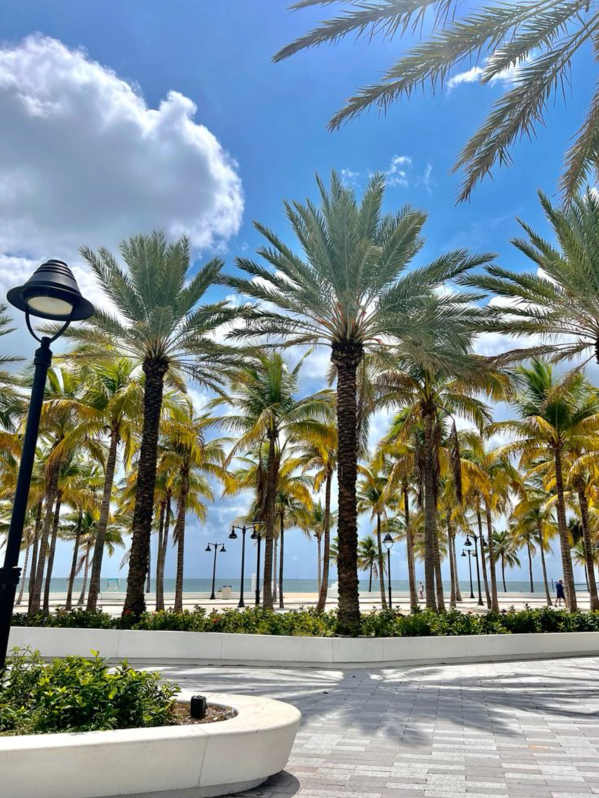 Luxury waterfront condominiums along the Intracoastal Waterway in Fort Lauderdale