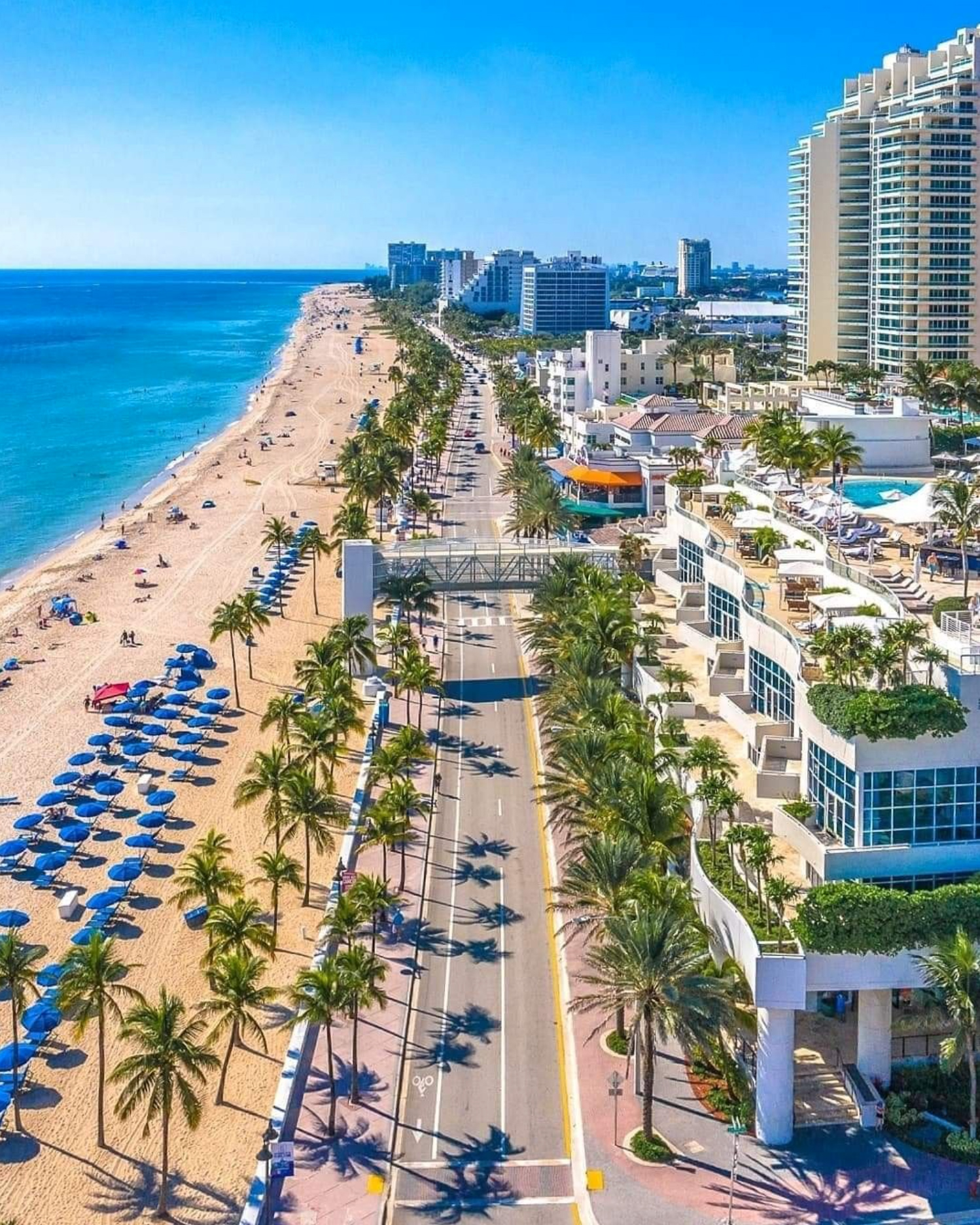 Luxury condominiums along Las Olas Boulevard in Fort Lauderdale